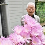 鮮やかなピンク色の花を付けたサボテン＝三木市自由が丘本町１