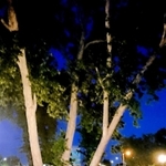 ５０周年事業で米バイセリア市に誕生した「三木市公園」（市国際交流協会提供）