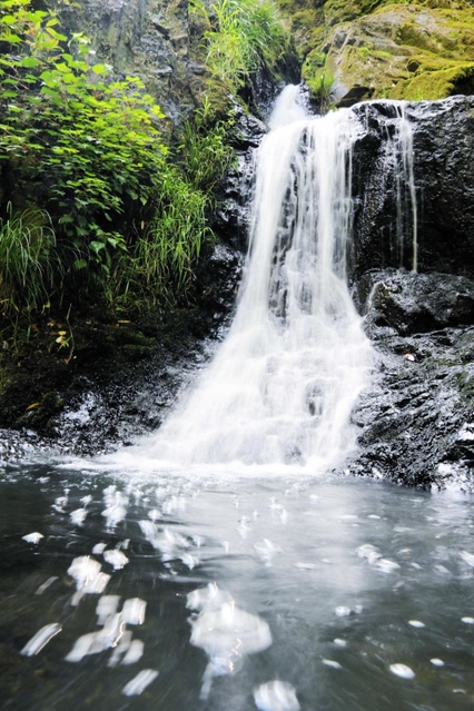 滝が打ち付けた水面にできた泡が、ゆっくりと流れてくる＝加東市畑