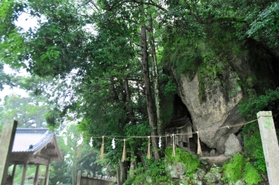 雨にぬれ、境内の緑が深まる＝三木市細川町垂穂、御酒神社