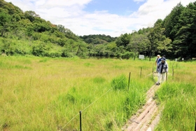 広大な湿原が整備され、希少な動植物がすむ＝加西市網引町