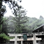 静かな森に囲まれる鳥居と社殿＝三木市細川町垂穂、御酒神社