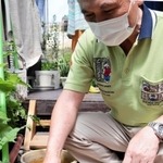 ツチノコのような生き物を見つけた植木鉢を指す西畑静男さん＝三木市