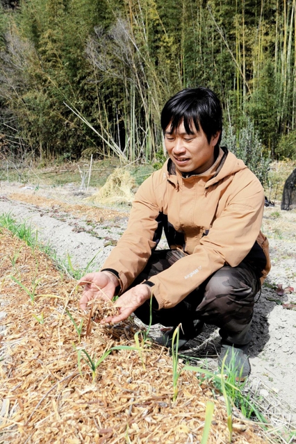木材チップの肥料を使った農法に取り組む横山さん＝三木市志染町