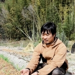 木材チップの肥料を使った農法に取り組む横山さん＝三木市志染町