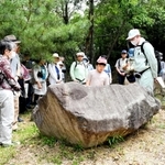 解説を聞きながら三木合戦の古戦場を巡る参加者ら＝三木市福井