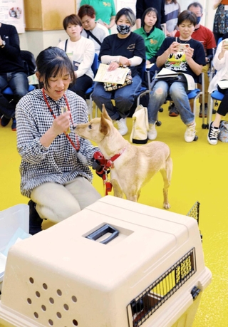 飼い犬をケージに入れる「クレートトレーニング」の実演もあった＝三木市志染町窟屋