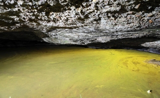 差し込む光の反射によって金色に見える「窟屋の金水」＝三木市志染町窟屋