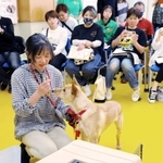 飼い犬をケージに入れる「クレートトレーニング」の実演もあった＝三木市志染町窟屋