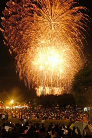 広場を埋めた来場客を照らす打ち上げ花火＝三木市志染町三津田