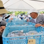 お目当てのブドウを買い求める人々。テントの向こうには長蛇の列が…＝三木市福井