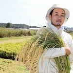 昨年１０月、稲を収穫する岩崎達也さん。耕作放棄地を耕した＝三木市久留美
