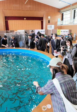 体育館跡の釣り堀でマス釣りを楽しめる＝三木市吉川町大畑