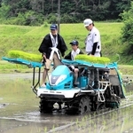 初めて田植え機のハンドルを握る大学生ら＝三木市吉川町冨岡