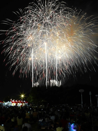 夜空を焦がす打ち上げ花火＝三木市志染町三津田