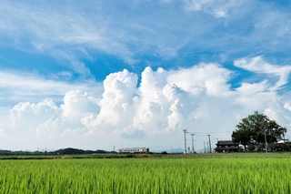 ｉｇａ＿ｇｏｕ＿ｍｙａｔｋｊさんの「雲の峰」＝８月１８日、加西市