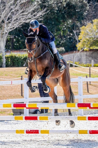 写真作家の玉田尚之さんが撮影した馬術競技の様子＝三木ホースランドパーク（三木市提供）