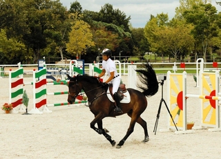 障害飛越で人馬一体の妙技を披露したパリ五輪日本代表の戸本一真選手＝三木ホースランドパーク