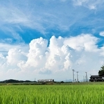 ｉｇａ＿ｇｏｕ＿ｍｙａｔｋｊさんの「雲の峰」＝８月１８日、加西市