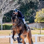 写真作家の玉田尚之さんが撮影した馬術競技の様子＝三木ホースランドパーク（三木市提供）