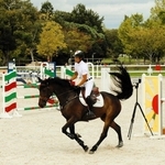 障害飛越で人馬一体の妙技を披露したパリ五輪日本代表の戸本一真選手＝三木ホースランドパーク