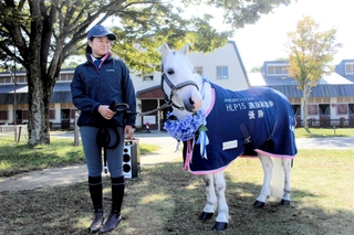 ポニーのヤマト、鼻差で人気ナンバーワンに 三木ホースランドパーク総