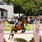 人馬一体となって障害を飛び越える様子を多くの観客が見守った＝三木ホースランドパーク