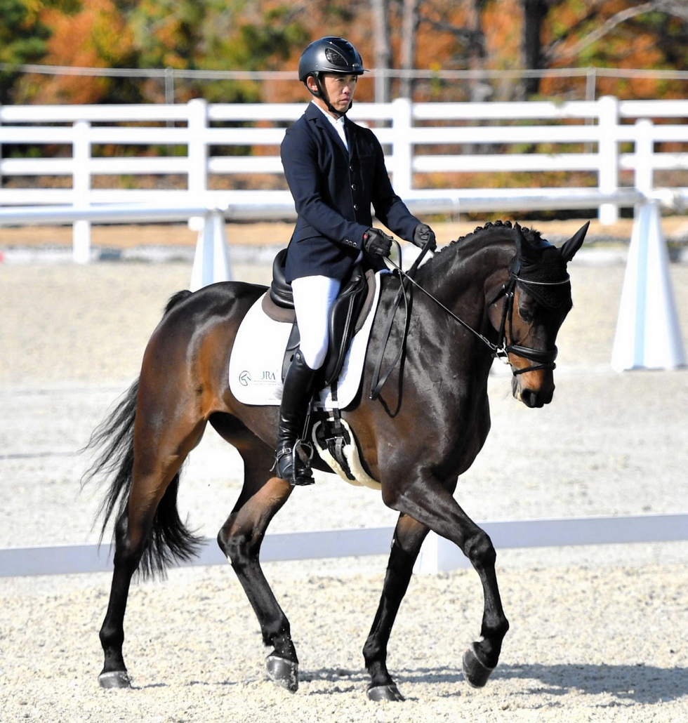 人馬一体の技を観戦して 全日本総合馬術大会、23日まで 家族連れで