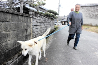 散歩に出る小鉄とみずえら。「オレ、モウツカレテン」と近道をすることもしばしば＝三木市吉川町上松