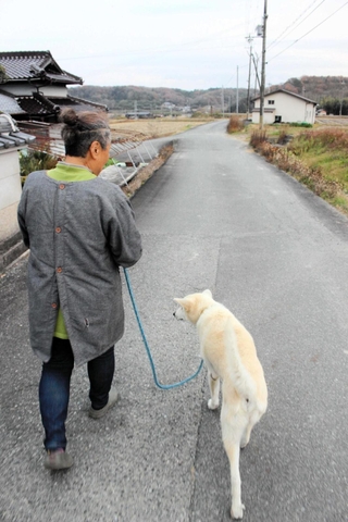 みずえと散歩する小鉄。「キョウモヨウアルイタワ」＝三木市吉川町上松