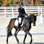 ２１日の馬場馬術に臨んだ日本中央競馬会馬事公苑所属の戸本一真選手とフェア・ドゥ・ランス＝三木ホースランドパーク（日本馬術連盟提供）