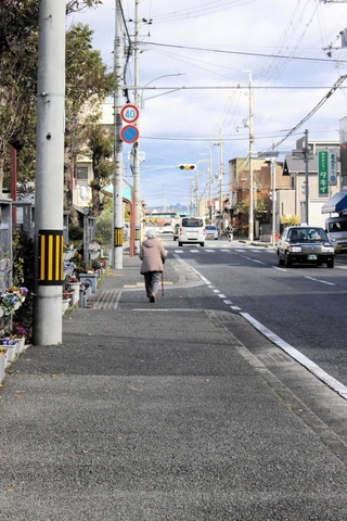 ただの散歩なのか、それとも…。はた目には見分けがつかない＝三木市内