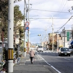 ただの散歩なのか、それとも…。はた目には見分けがつかない＝三木市内