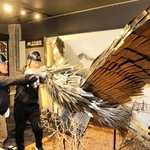 常設金物鷲のリニューアルを行う芦原強さん（左）と竹内良一さん＝道の駅みき