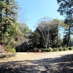 三木城本丸跡の上の丸公園＝三木市上の丸町