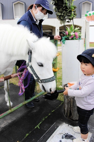 誕生日に子どもからニンジンを食べさせてもらうヤマト＝三木ホースランドパーク