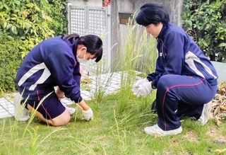 お年寄りの家で草引きに取り組む三木北高校の生徒＝三木市内（三木市提供）