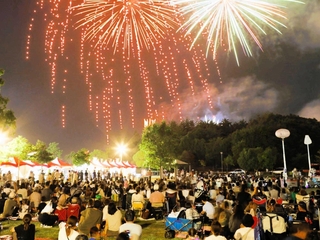 昨夏のみっきぃ夏まつり。芝生広場は花火を見上げる多くの来場客で埋め尽くされた＝２０２５年８月２３日、県立三木総合防災公園