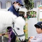 誕生日に子どもからニンジンを食べさせてもらうヤマト＝三木ホースランドパーク