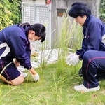 地域で高齢者を支えよう　「ファミサポ」体験の三木北高生がPR動画、チラシ作成