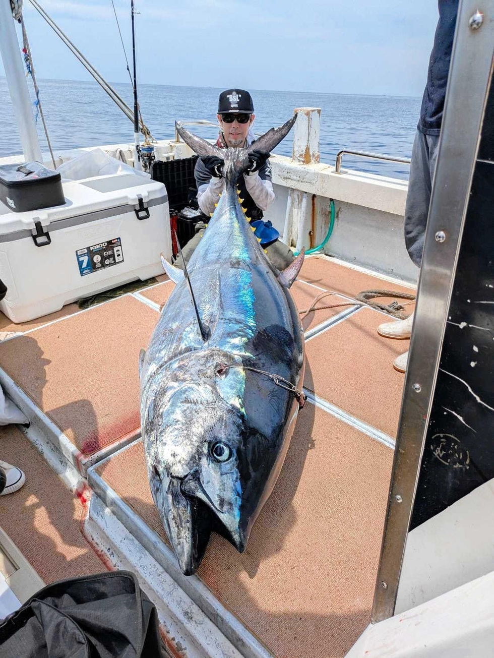 釣ったぞ!200キロのクロマグロ 三木の鉛筆画家野口さん、煙上げる