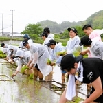 山田錦の田植え、稲刈り…醸造、流通まで　県内の大学生が学ぶ酒造り　吉川で年間体験スタート