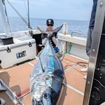重さ２００キロのクロマグロを釣り上げた野口雅史さん＝新温泉町沖（本人提供）