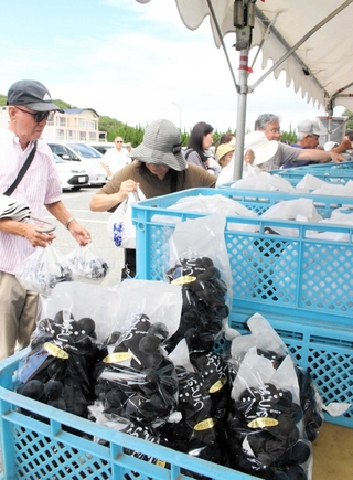三木市の特産、大粒のブドウを買い求める客ら＝三木市福井