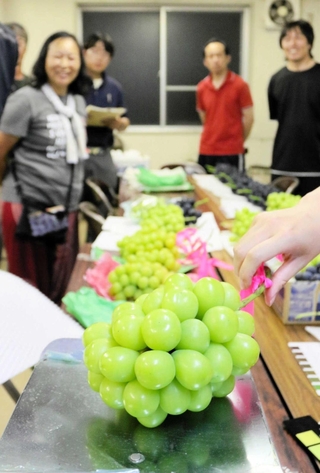 高品質なブドウを持ち寄り、出来を見極める生産者ら＝三木市吉川町長谷