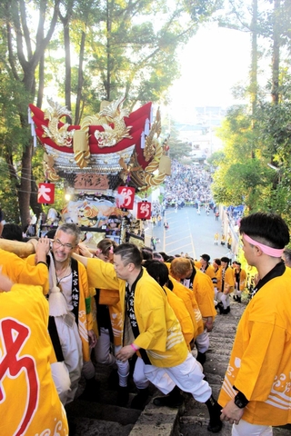 石段を上って宮入りする屋台＝大宮八幡宮