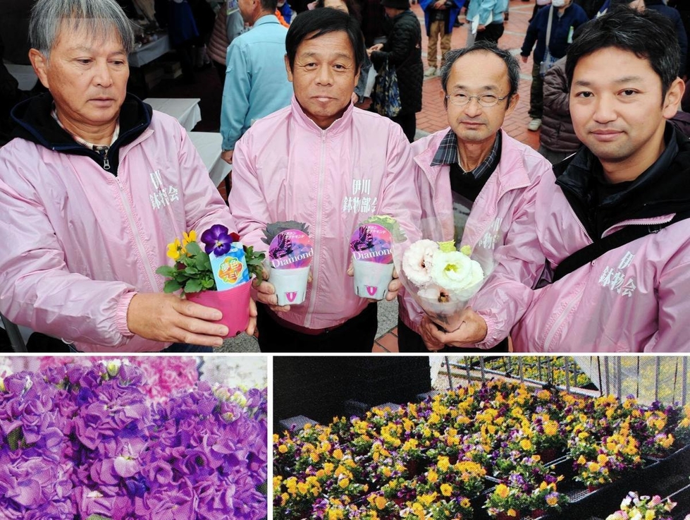 一輪 一鉢 買った人を笑顔に 花壇苗の 元祖 神戸の花職人 M S Kobe 神戸新聞next 一輪 一鉢 買った人を笑顔に 花壇苗の 元祖 神戸の花職人 M S Kobe 神戸新聞next