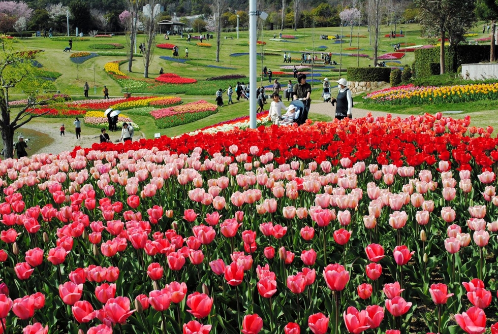 淡路島国営明石海峡公園