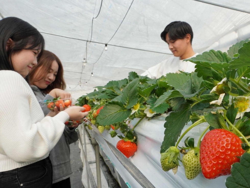 ○さんだいちごセレモニー①