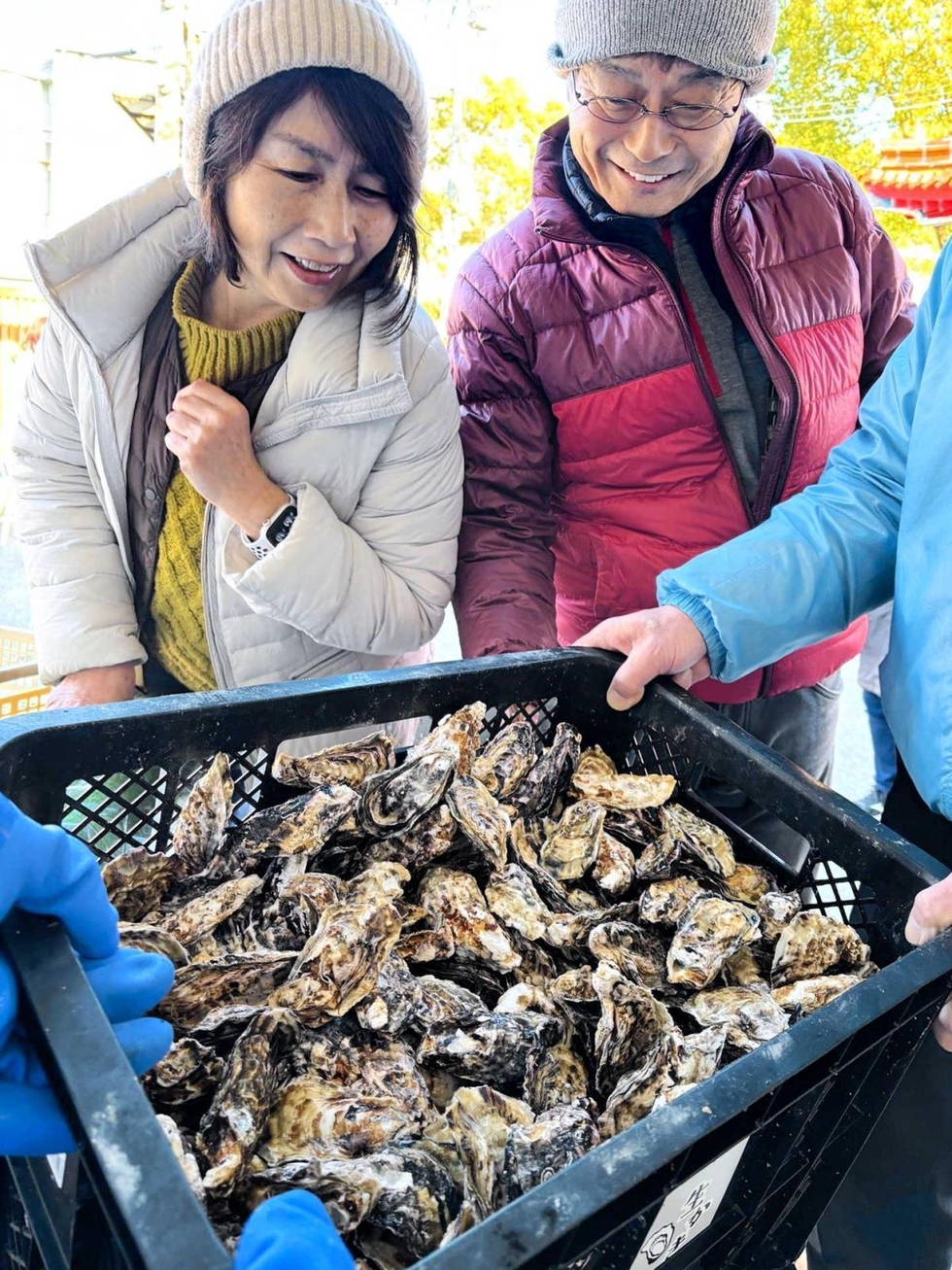 播磨灘カキ、販売ようやく○